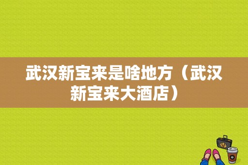 武汉新宝来是啥地方（武汉新宝来大酒店）-图1