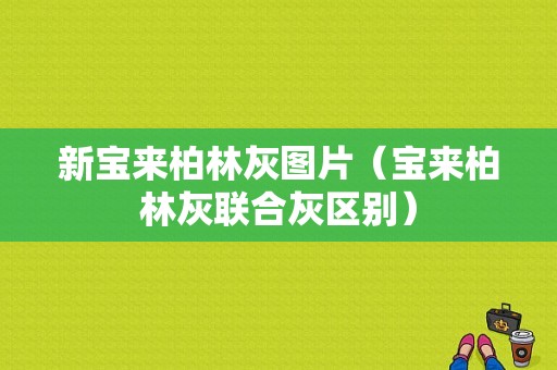 新宝来柏林灰图片（宝来柏林灰联合灰区别）-图1