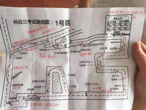 科三新宝来（南垂科三新宝来）-图3